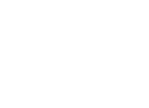 Baus Dumpster Rentals LLC logo